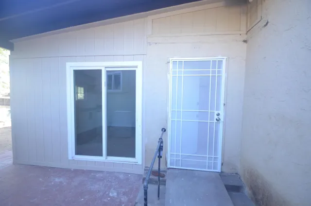 a view of a yard with plants and trees