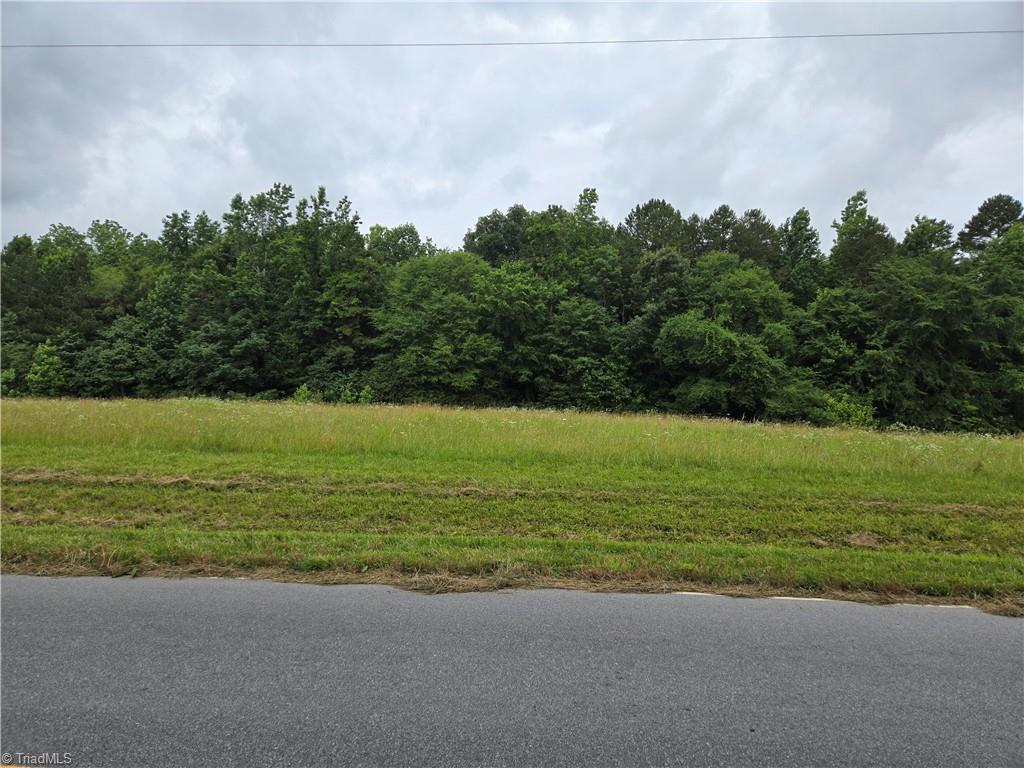 0 Picketts Mill Road Seagrove, NC 27341 - Photo 2 of 4 Gallery Image 2