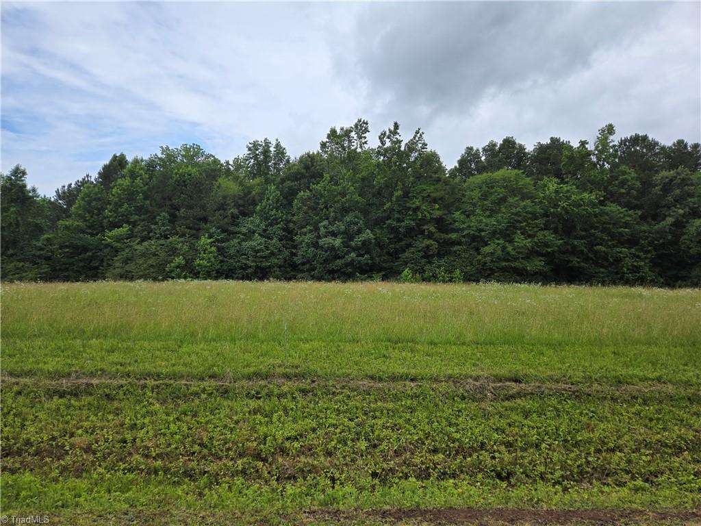 0 Picketts Mill Road Seagrove, NC 27341 - Photo 3 of 4 Gallery Image 3