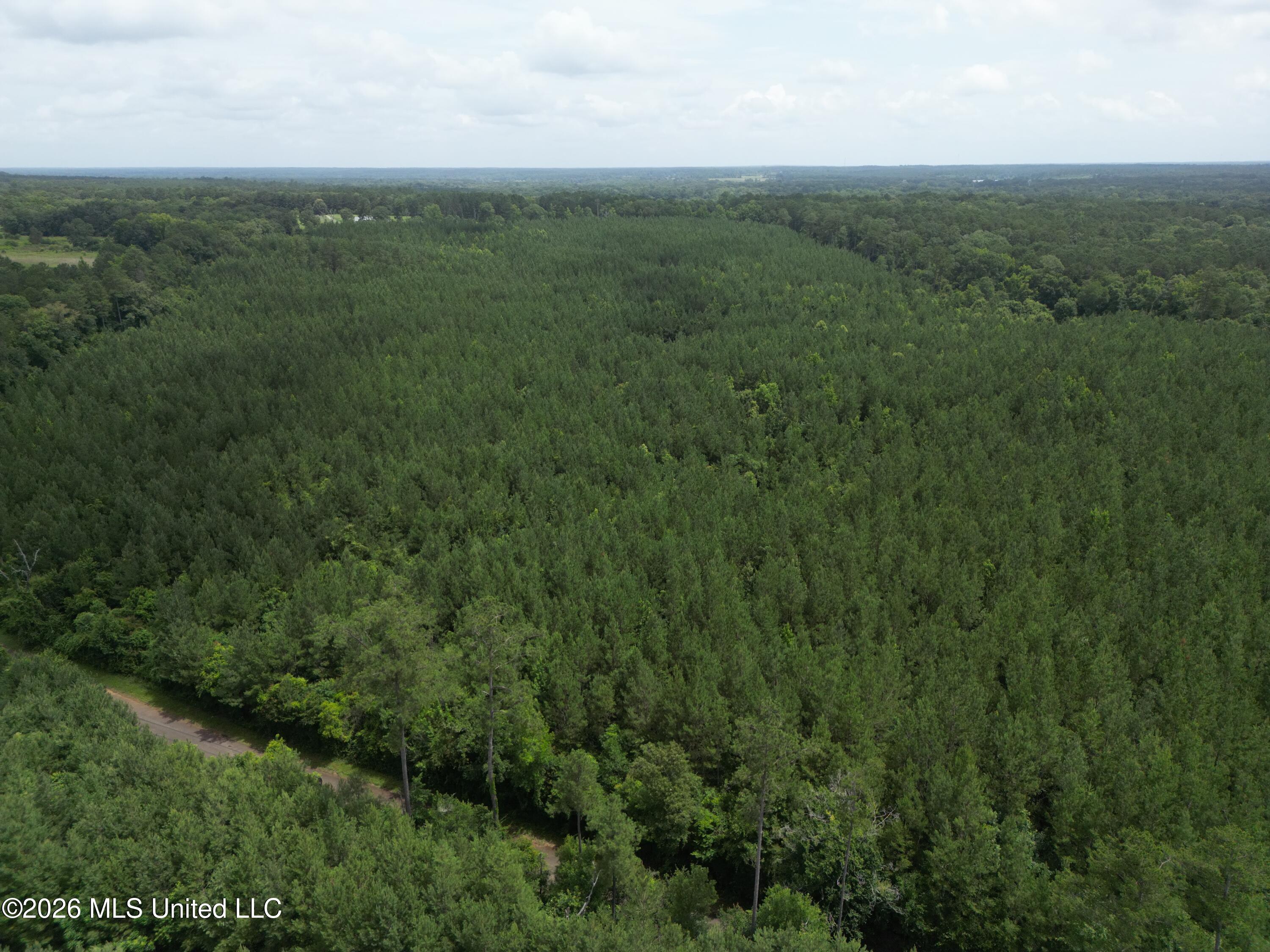 Summit Holmesville Road McComb, MS 39648 - Photo 13 of 29 DJI_0621