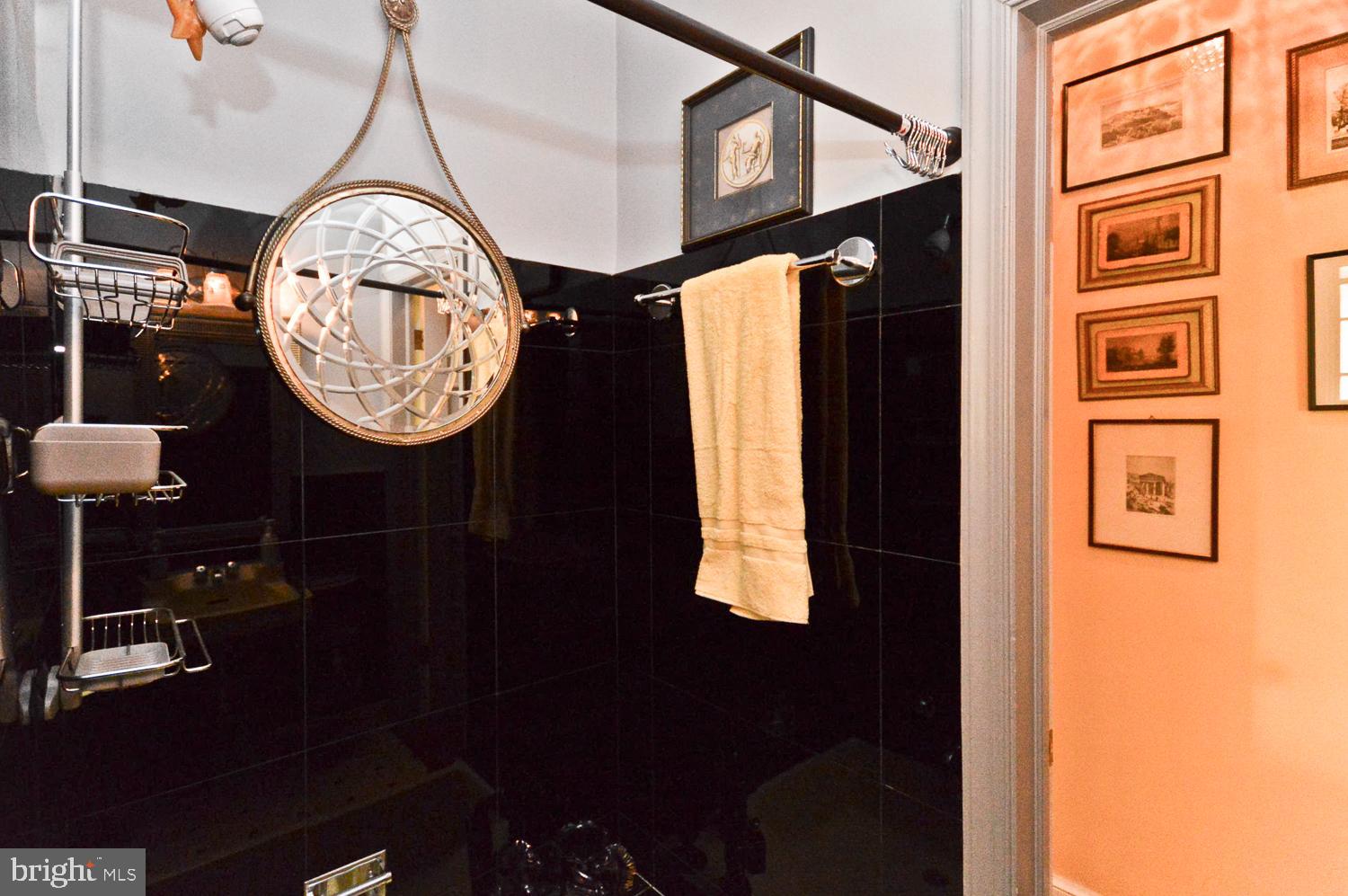 1847 Middlebridge Drive Silver Spring, MD 20906 - Photo 26 of 64 Full bath Main Level