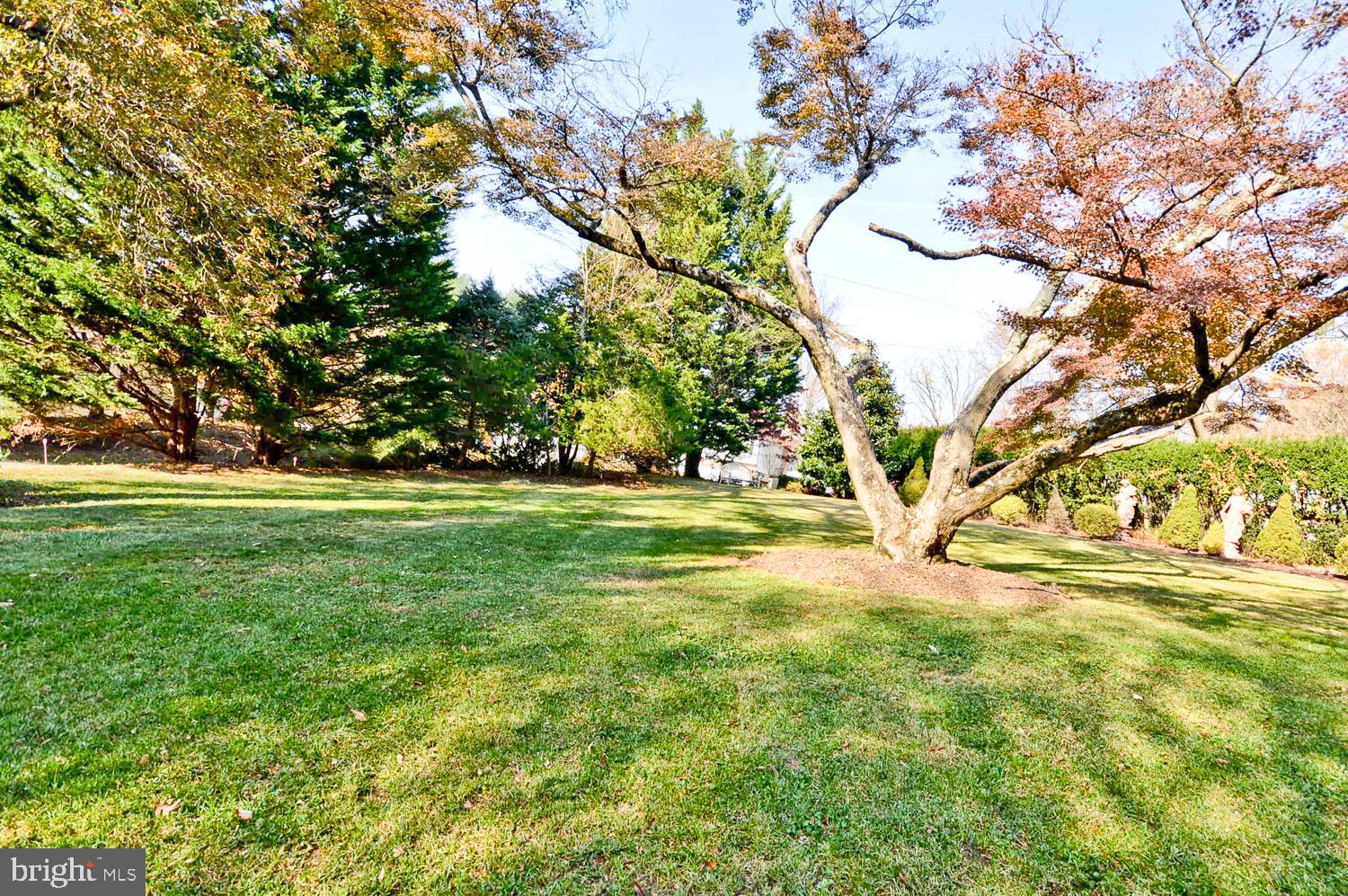 1847 Middlebridge Drive Silver Spring, MD 20906 - Photo 5 of 64 Your very own park like setting