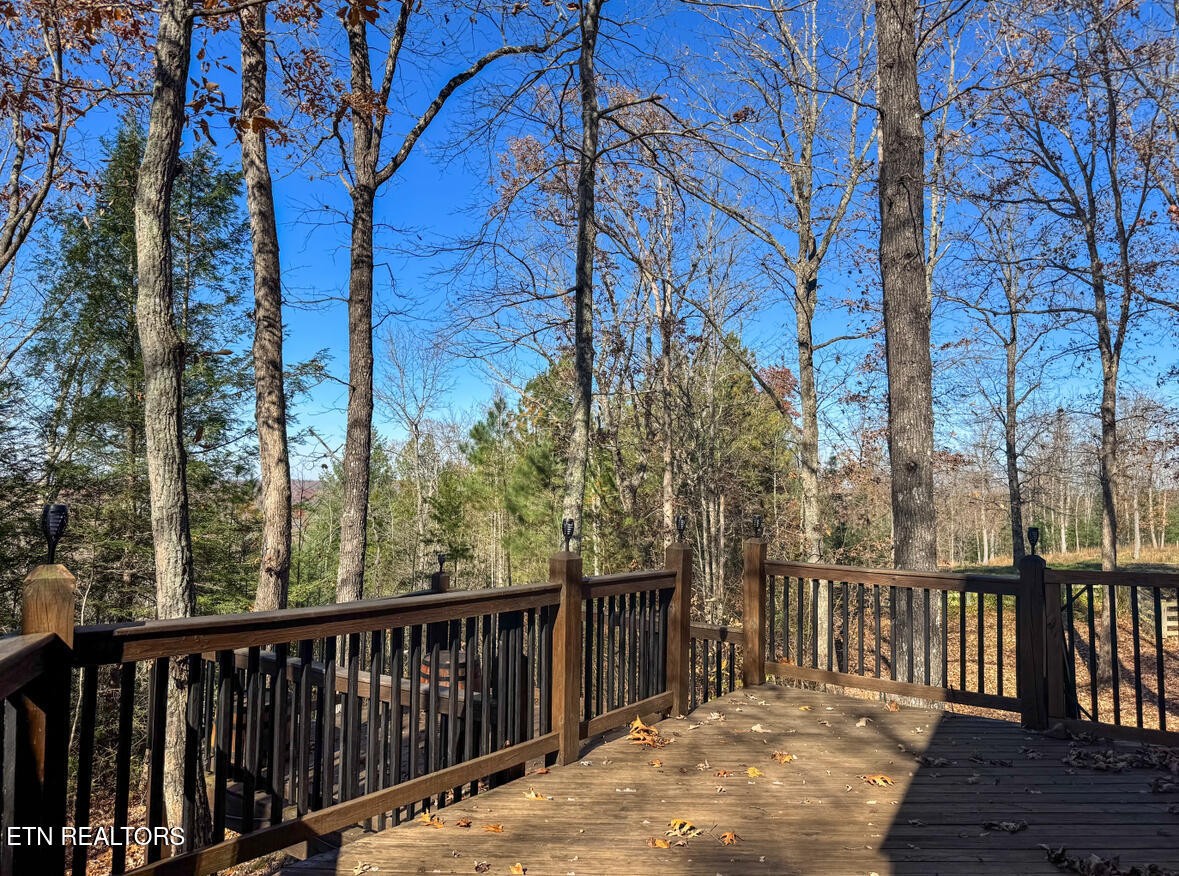 390 John J Smith Road Oneida, TN 37841 - Photo 34 of 56 a view of a wooden roof deck