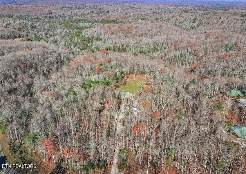 390 John J Smith Road Oneida, TN 37841 - Photo 56 of 56 a view of a dry yard and green space