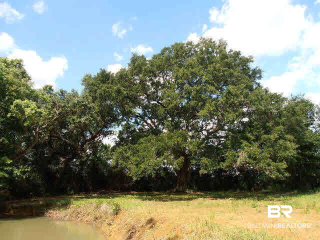 29320 County Road 32 Elberta, AL 36530 - Photo 40 of 41 Oak with pond