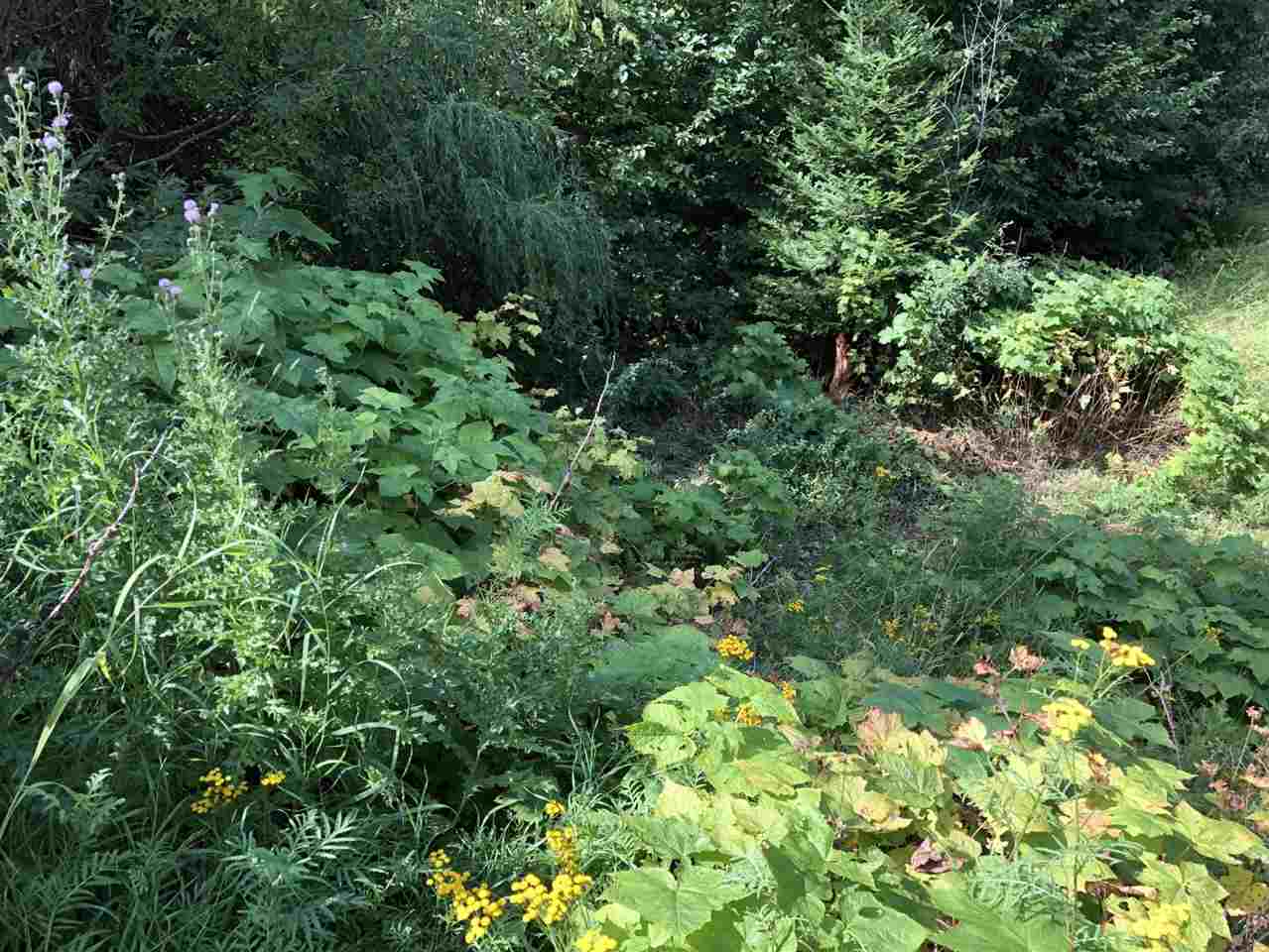 535 Monumental Road Colville, WA 99114 - Photo 3 of 8