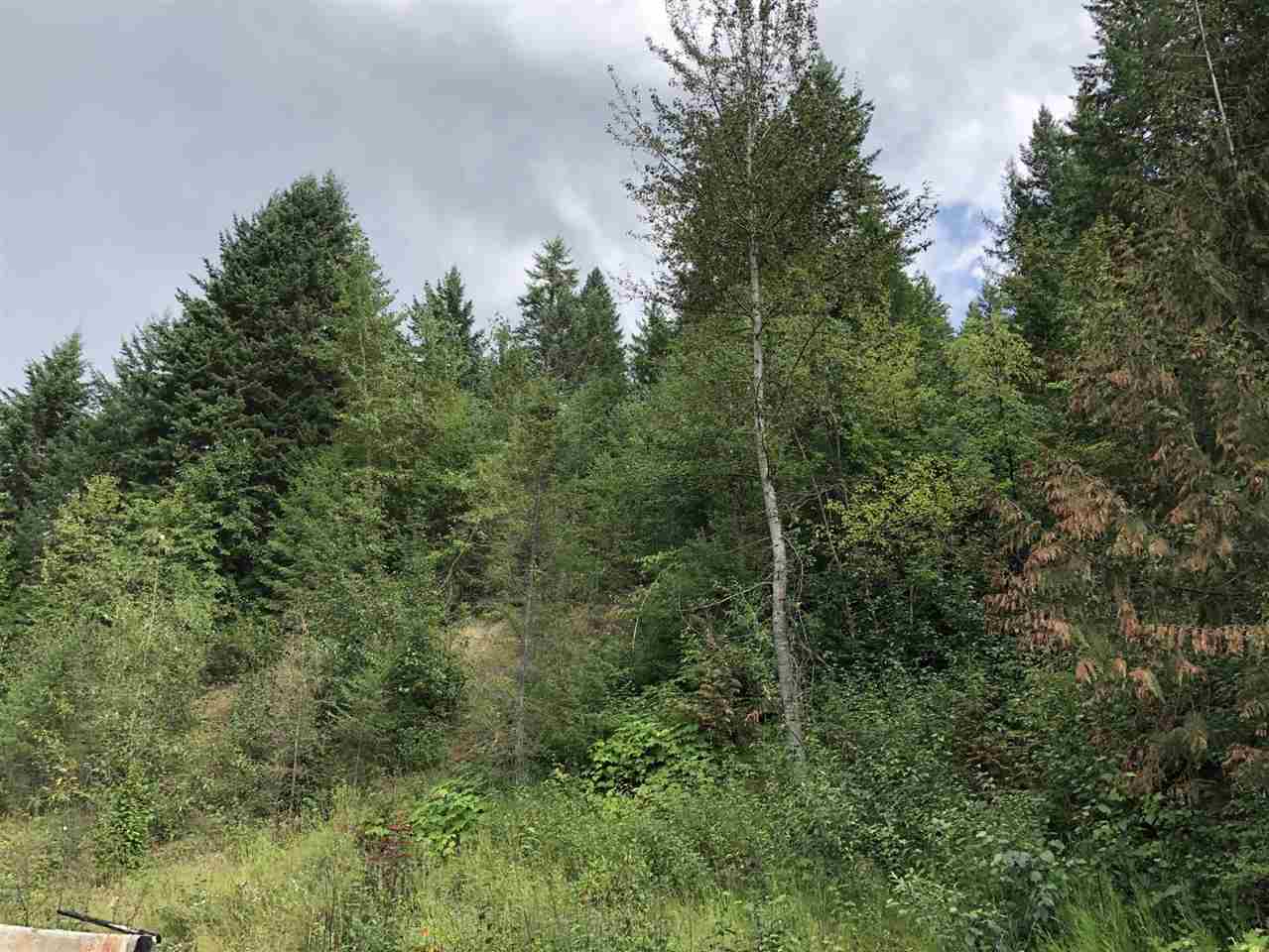 535 Monumental Road Colville, WA 99114 - Photo 4 of 8