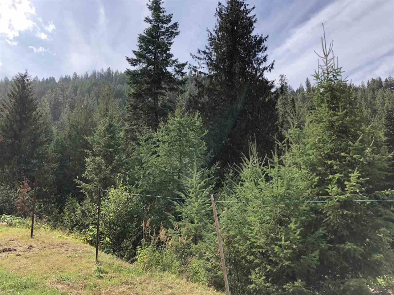 535 Monumental Road Colville, WA 99114 - Photo 5 of 8
