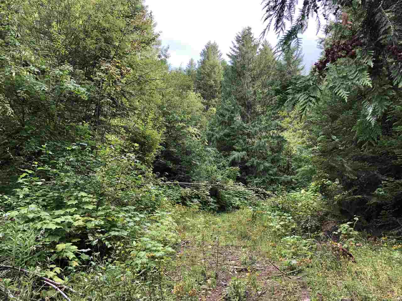535 Monumental Road Colville, WA 99114 - Photo 7 of 8