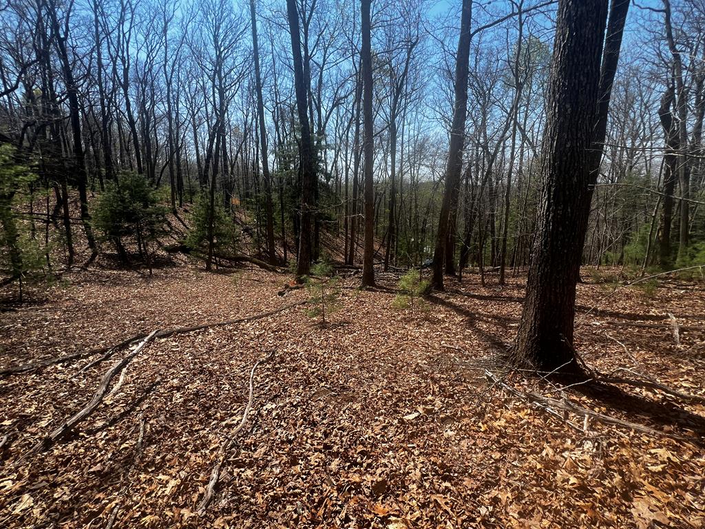 Lot 5 High Country Lane Morganton, GA 30560 - Photo 1 of 16 a view of outdoor space with trees