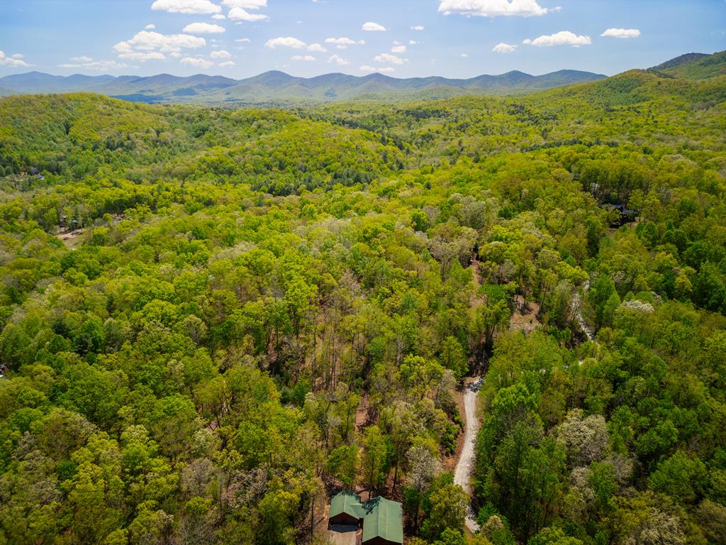 Lot 5 High Country Lane Morganton, GA 30560 - Photo 11 of 16 a view of a city