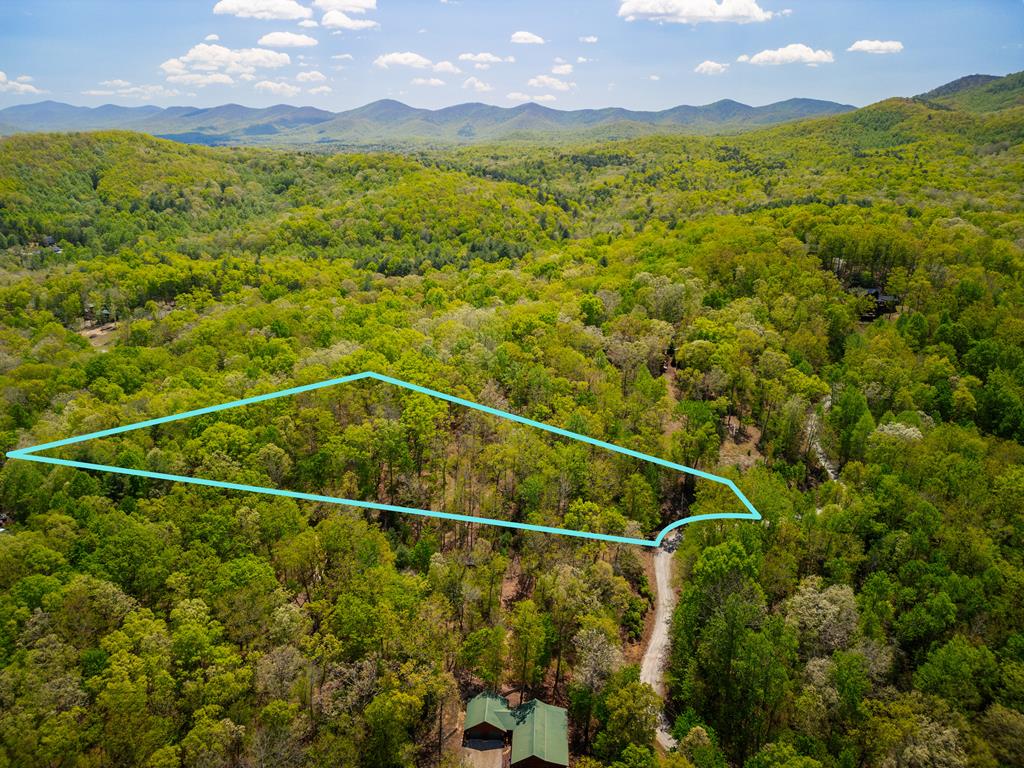 Lot 5 High Country Lane Morganton, GA 30560 - Photo 12 of 16 a view of a city