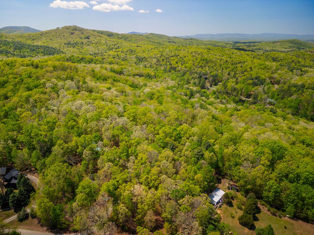 Lot 5 High Country Lane Morganton, GA 30560 - Photo 13 of 16 a view of an ocean