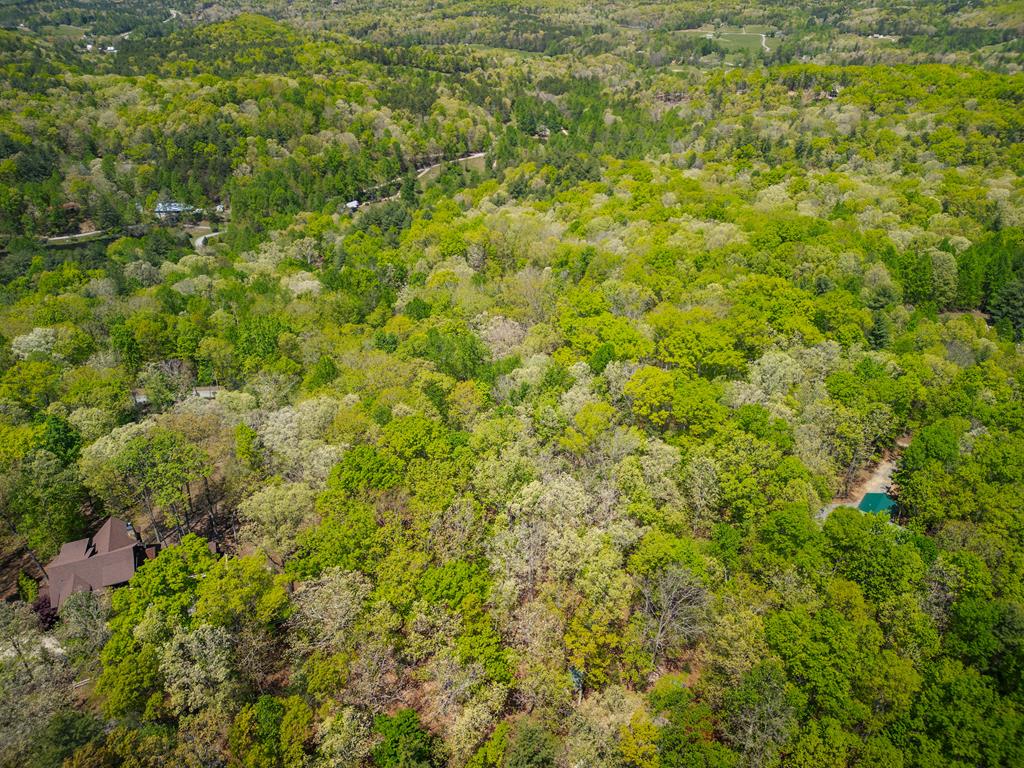 Lot 5 High Country Lane Morganton, GA 30560 - Photo 15 of 16 a view of a big yard with plants and large trees