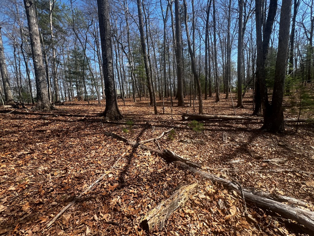 Lot 5 High Country Lane Morganton, GA 30560 - Photo 3 of 16 a view of a backyard with trees