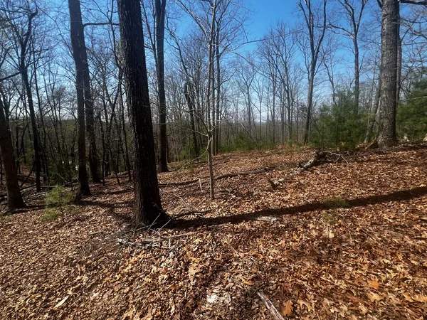 $84,900 | Lot 5 High Country Lane, Morganton, GA 30560