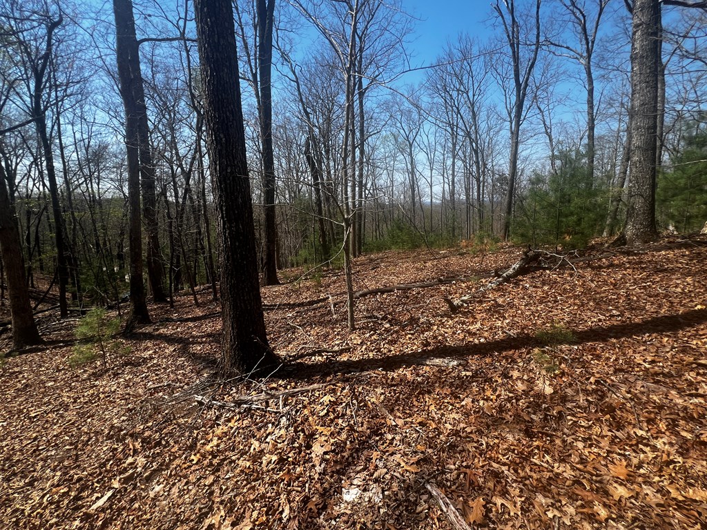 Lot 5 High Country Lane Morganton, GA 30560 - Photo 4 of 16 a backyard of a house with lots of green space
