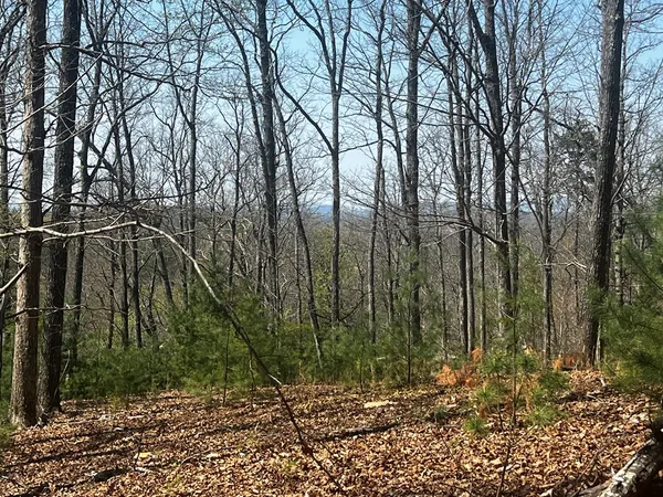 $84,900 | Lot 5 High Country Lane, Morganton, GA 30560