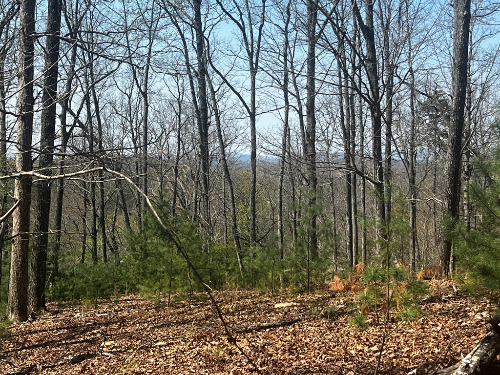 Lot 5 High Country Lane Morganton, GA 30560 - Photo 5 of 16 a backyard of a house with lots of green space
