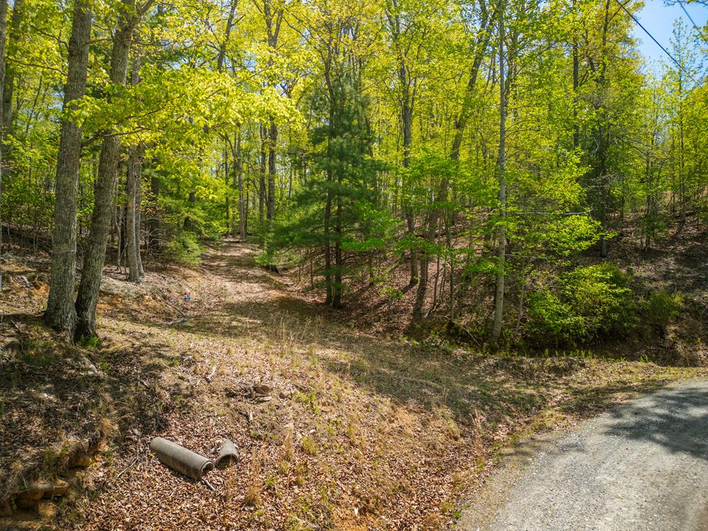 Lot 5 High Country Lane Morganton, GA 30560 - Photo 7 of 16 a view of a field with lots of bushes
