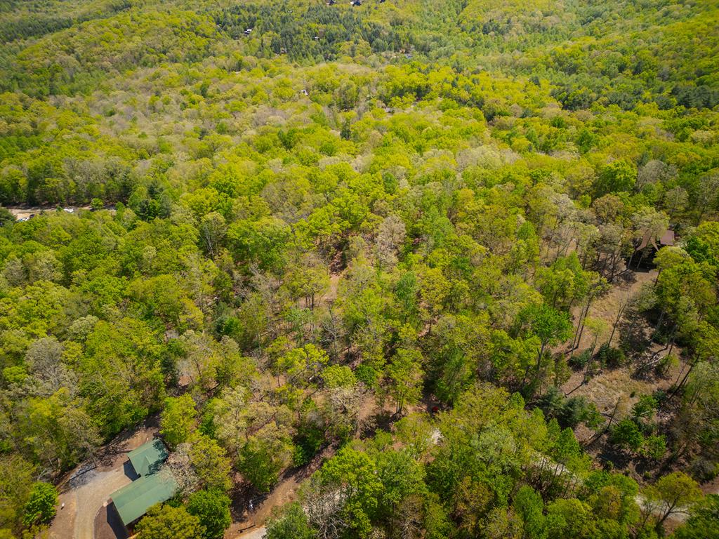 Lot 5 High Country Lane Morganton, GA 30560 - Photo 10 of 16 a view of a big yard of a house