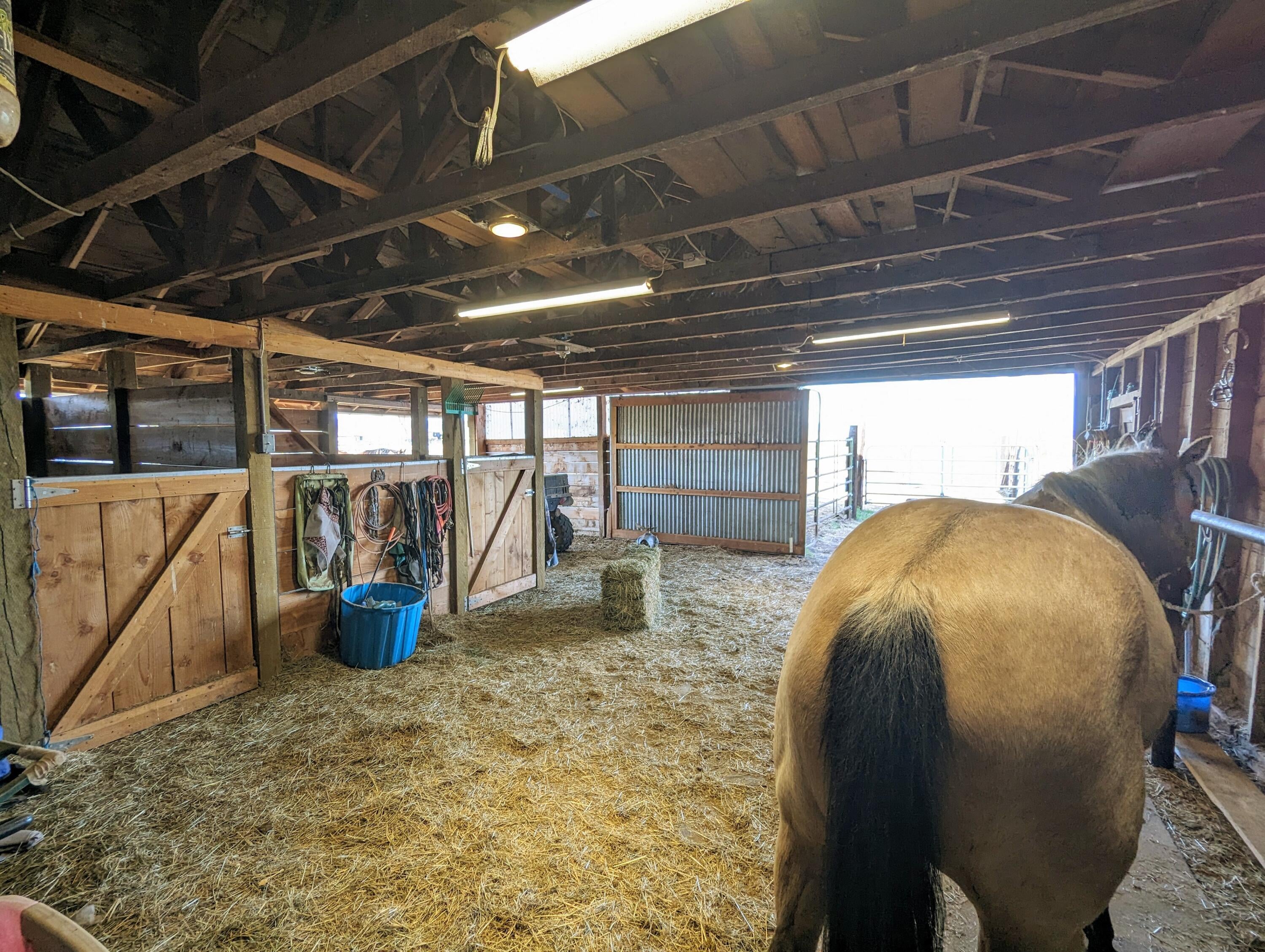 Barn