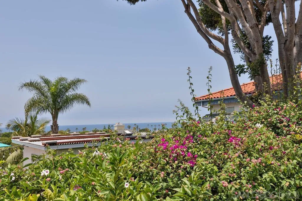 46 East F Street Encinitas, CA 92024 - Photo 18 of 20 Gallery Image 18
