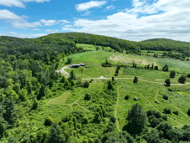 a view of a lush green forest with lots of trees