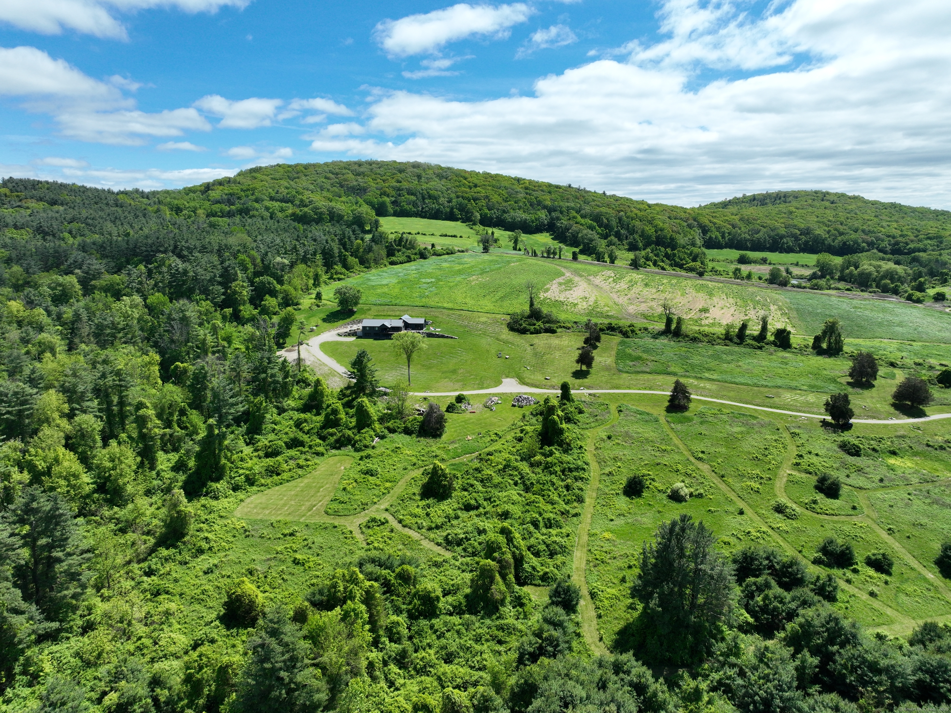 a view of a lush green forest with lots of trees