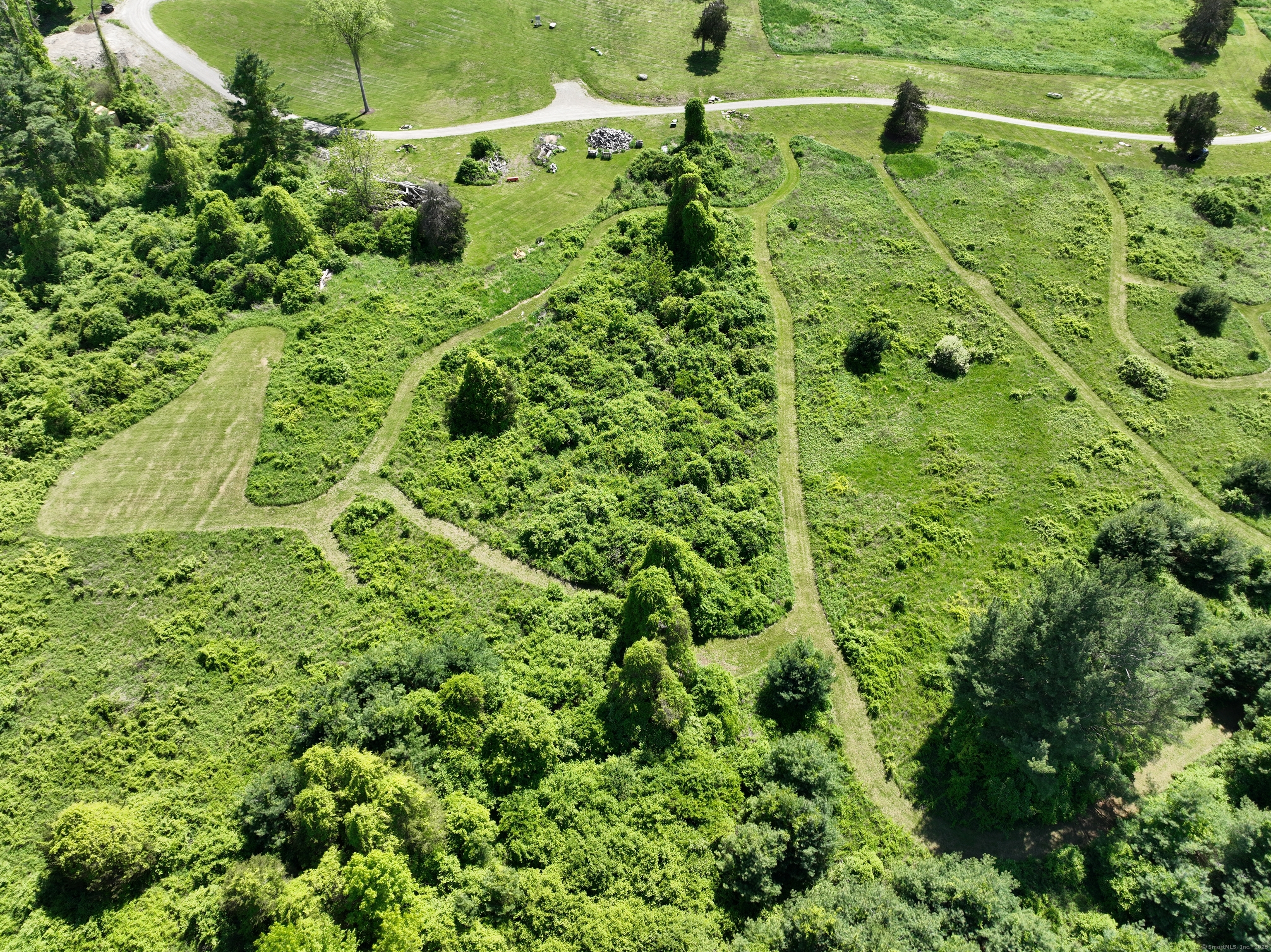 10 Red Mountain Road Salisbury, CT 06039 - Photo 4 of 7 a view of a yard with plants and large trees