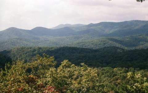 434 Cohutta Mountain Road Blue Ridge, GA 30513 - Photo 1 of 1 Main View