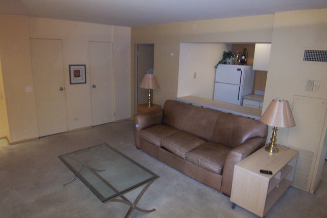 40 East 9th Street, Unit 312 Chicago, IL 60605 - Photo 2 of 8 a living room with furniture