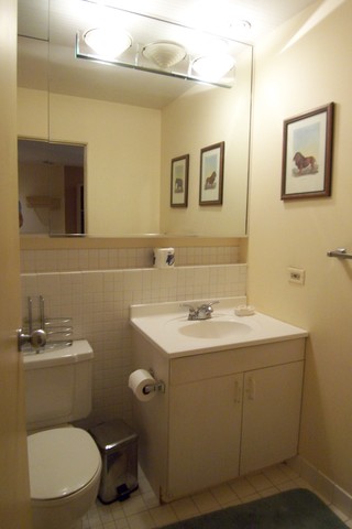 40 East 9th Street, Unit 312 Chicago, IL 60605 - Photo 6 of 8 a bathroom with a toilet sink and mirror