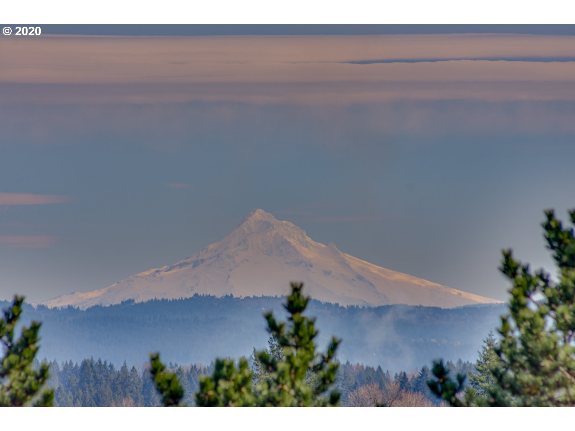 0 Northeast 24th Avenue Ridgefield, WA 98642 - Photo 14 of 31