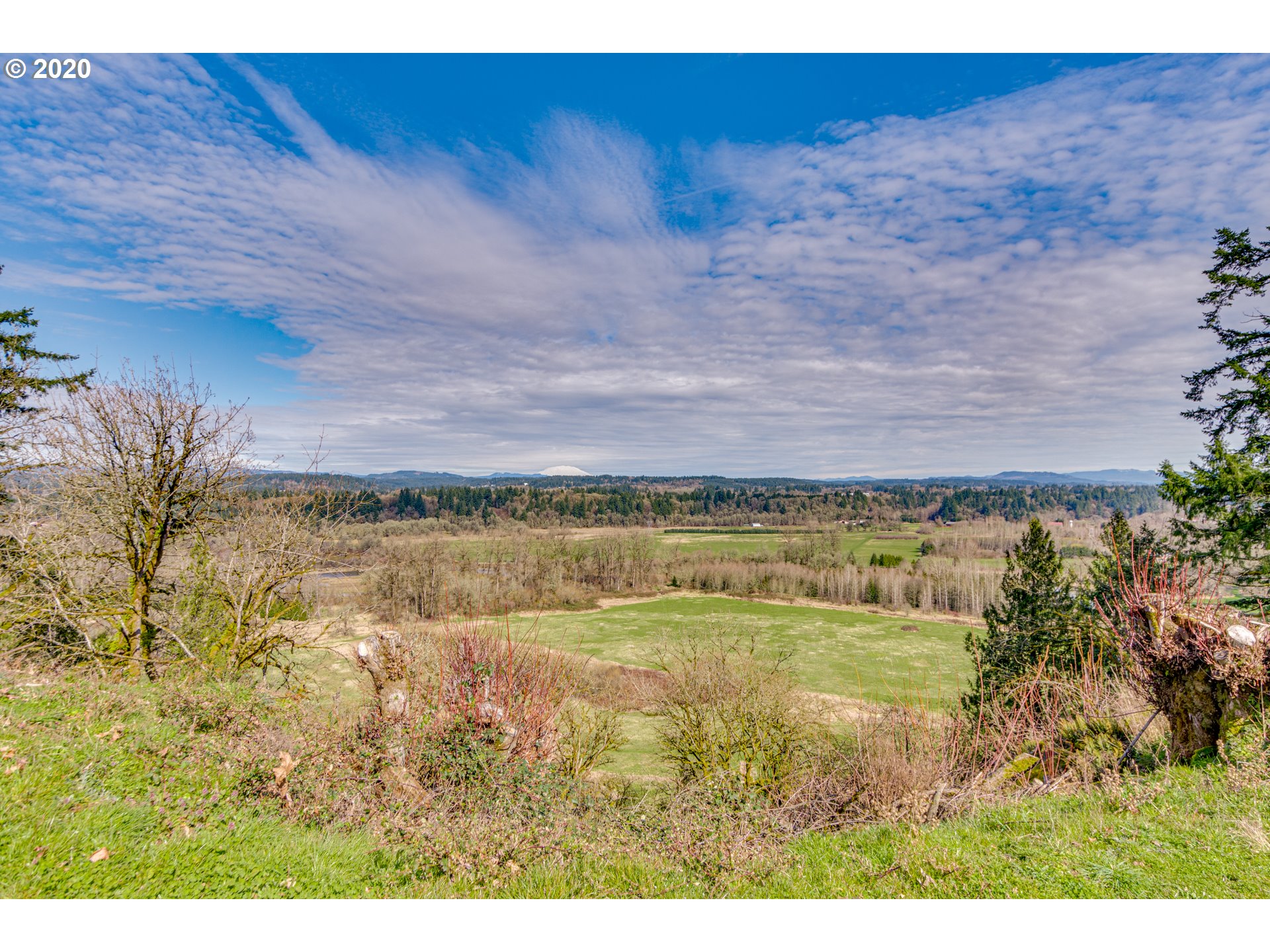 0 Northeast 24th Avenue Ridgefield, WA 98642 - Photo 7 of 31