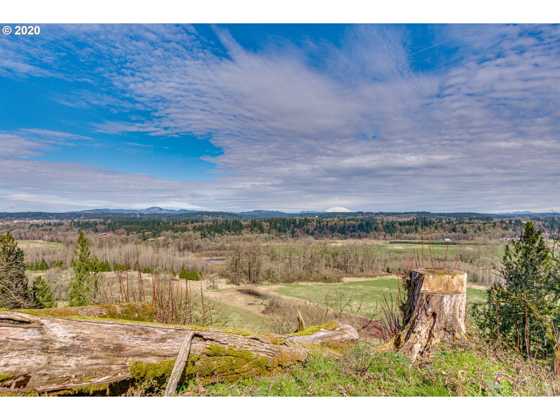 0 Northeast 24th Avenue Ridgefield, WA 98642 - Photo 10 of 31