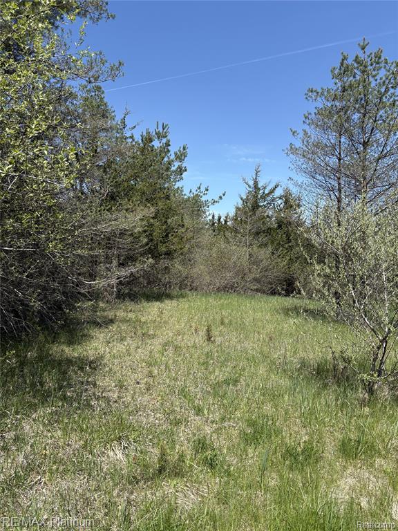 Parcel 7 Fisher Road Howell, MI 48855 - Photo 5 of 7