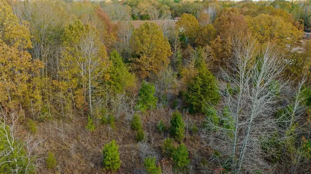 an aerial view of a houses with a yard