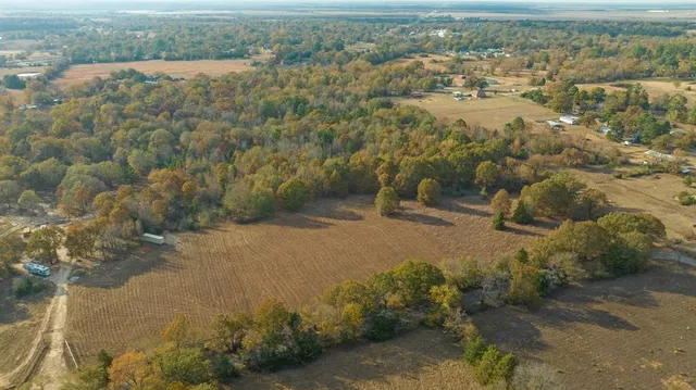 a view of a forest with a yard