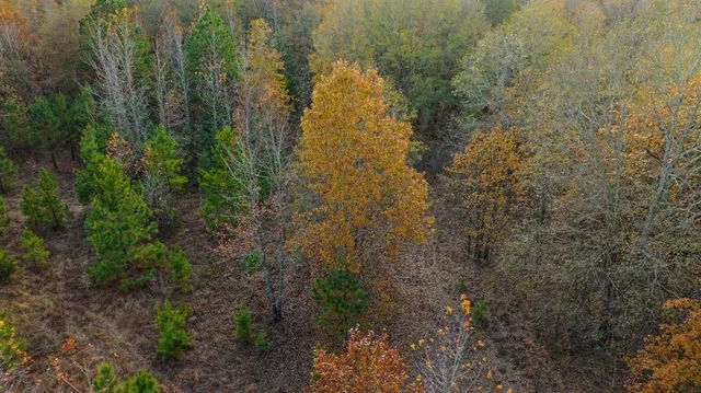 a view of basketball court