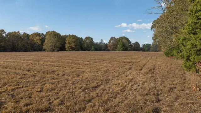 a view of a pathway both side of yard