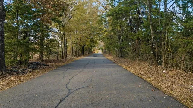 a view of backyard with green space