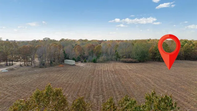 a view of a dry yard with large trees