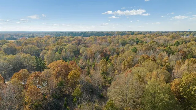 a view of a lot of trees in a lake
