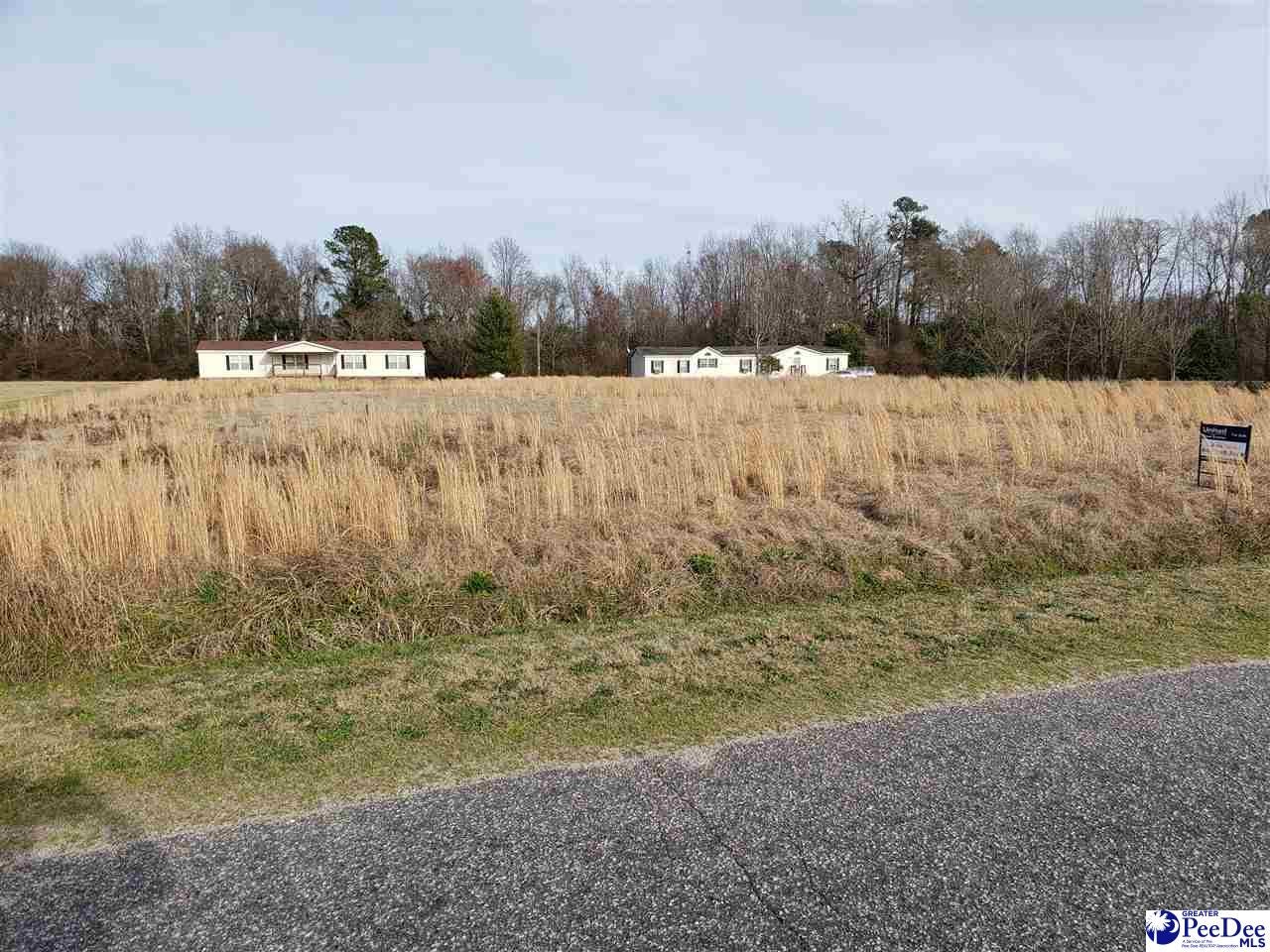 Tbd George Mill Road Patrick, SC 29584 - Photo 1 of 1 Gallery Image 1
