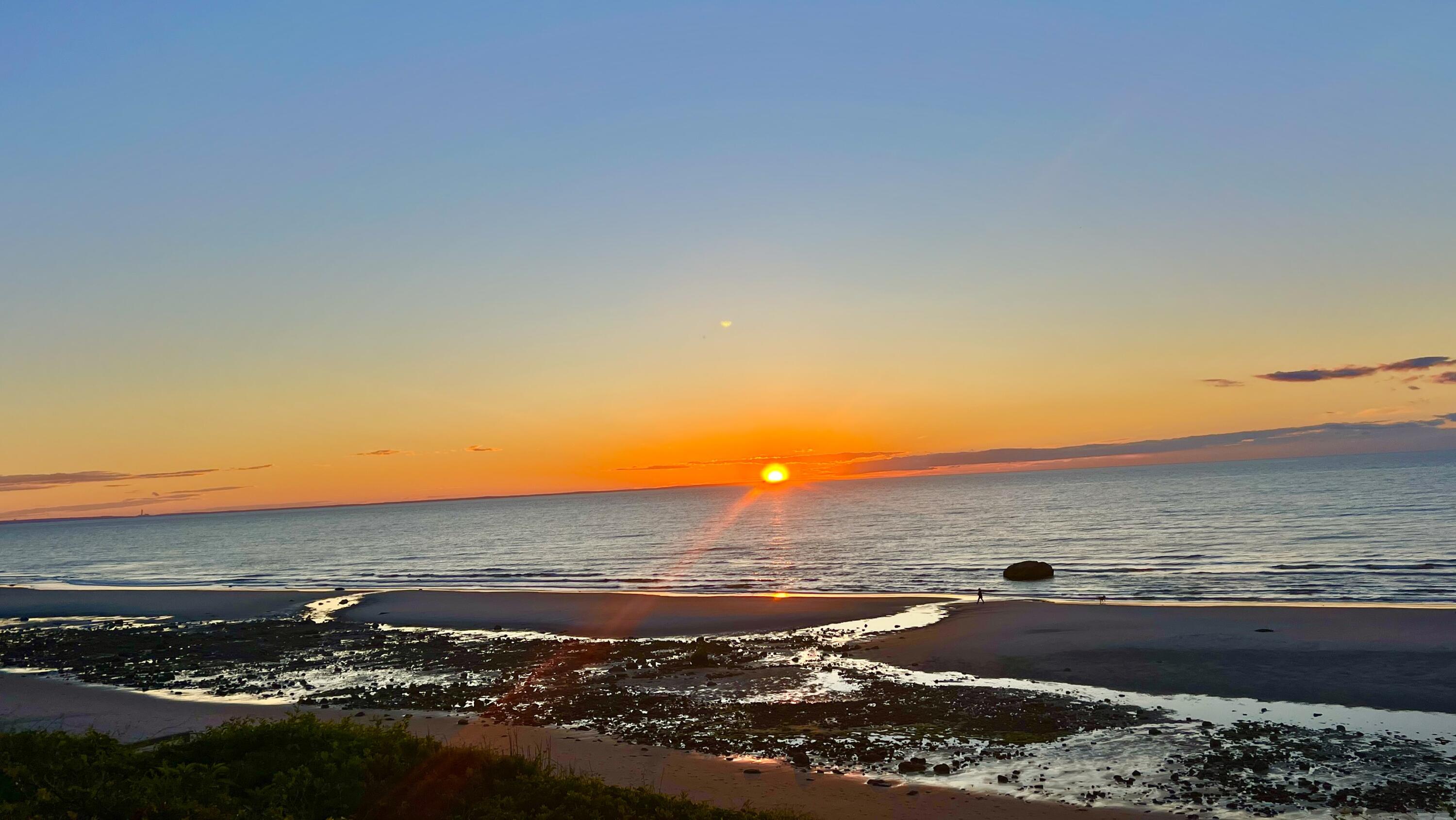 80 Hiram Pond Road Dennis, MA 02638 - Photo 73 of 82 IMG_4473