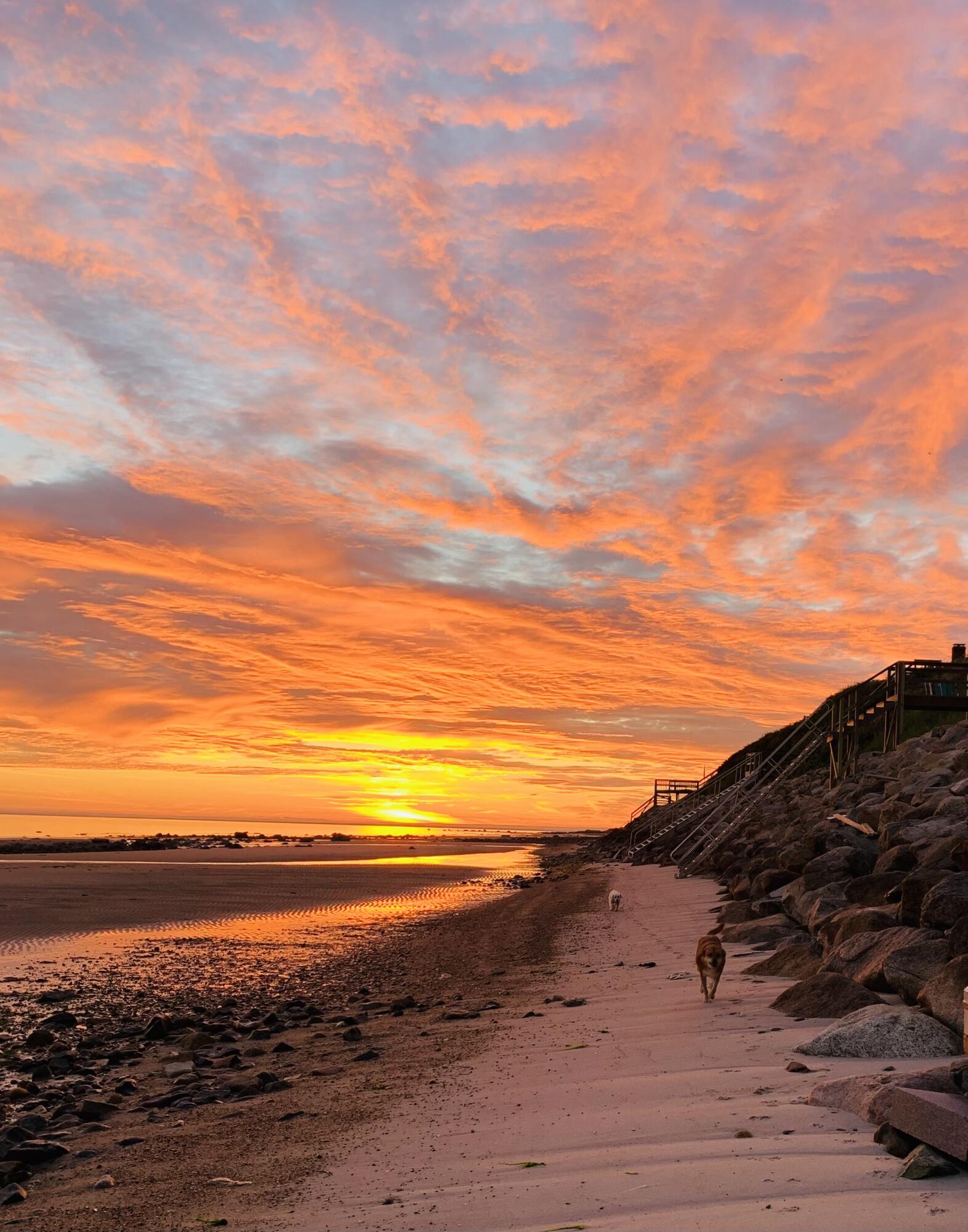 80 Hiram Pond Road Dennis, MA 02638 - Photo 75 of 82 a view of beach and ocean