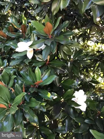 $6,499,900 | 1239 Daleview Drive, McLean, VA 22102