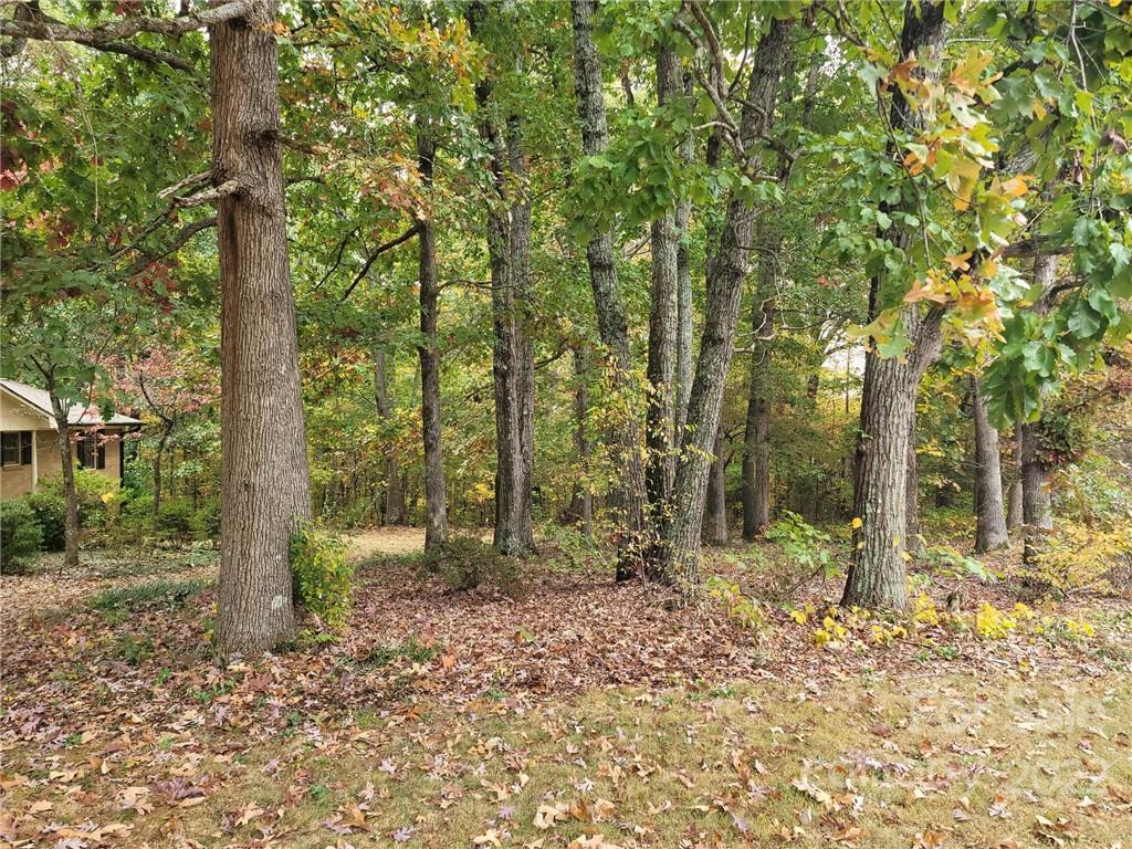1832 Dameron Road Bessemer City, NC 28016 - Photo 8 of 48 Gallery Image 8