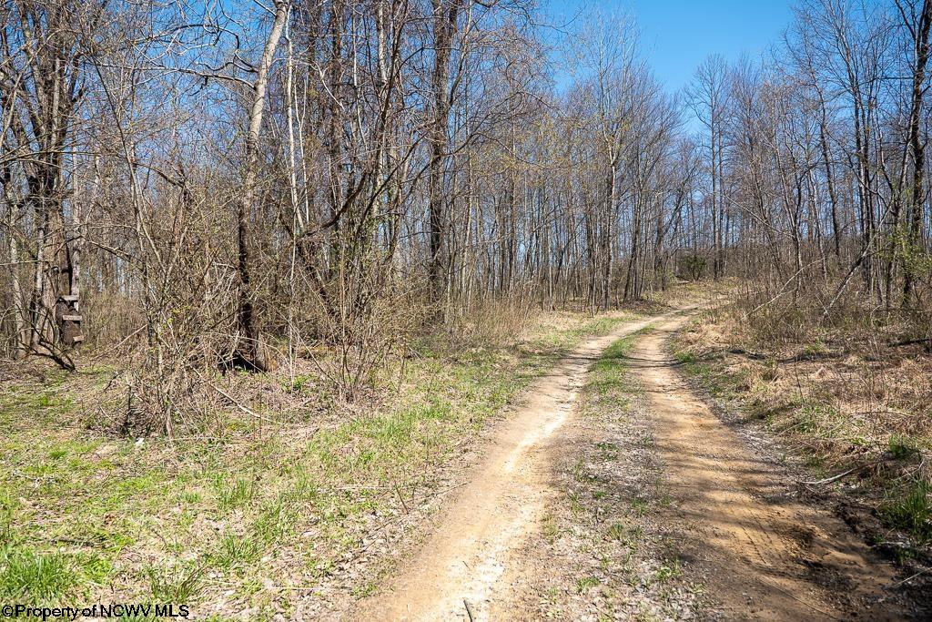 Lot 1 Fairfax Mine Road Reedsville, WV 26547 - Photo 4 of 49 Gallery Image 4